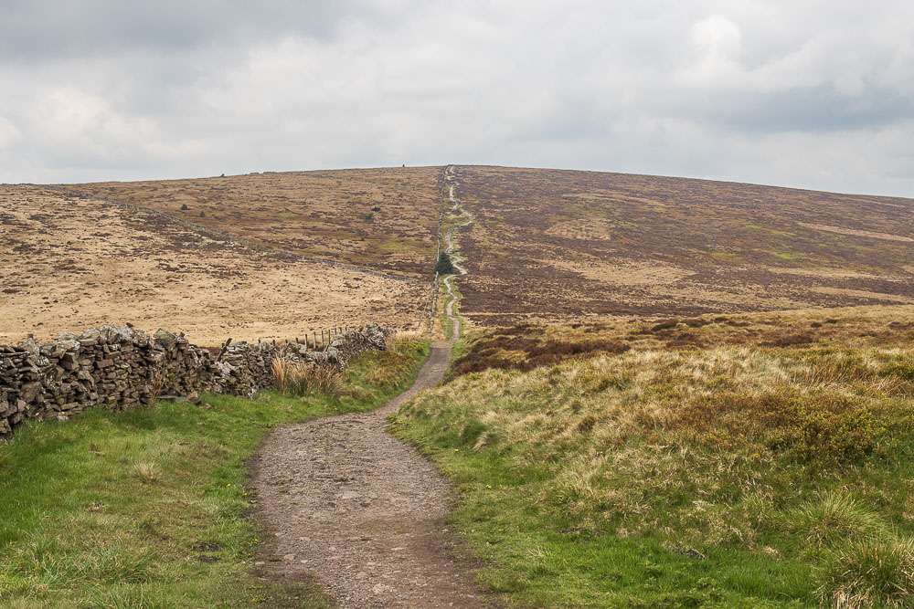 Shining Tor